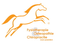 Fysiotherapie voor paarden